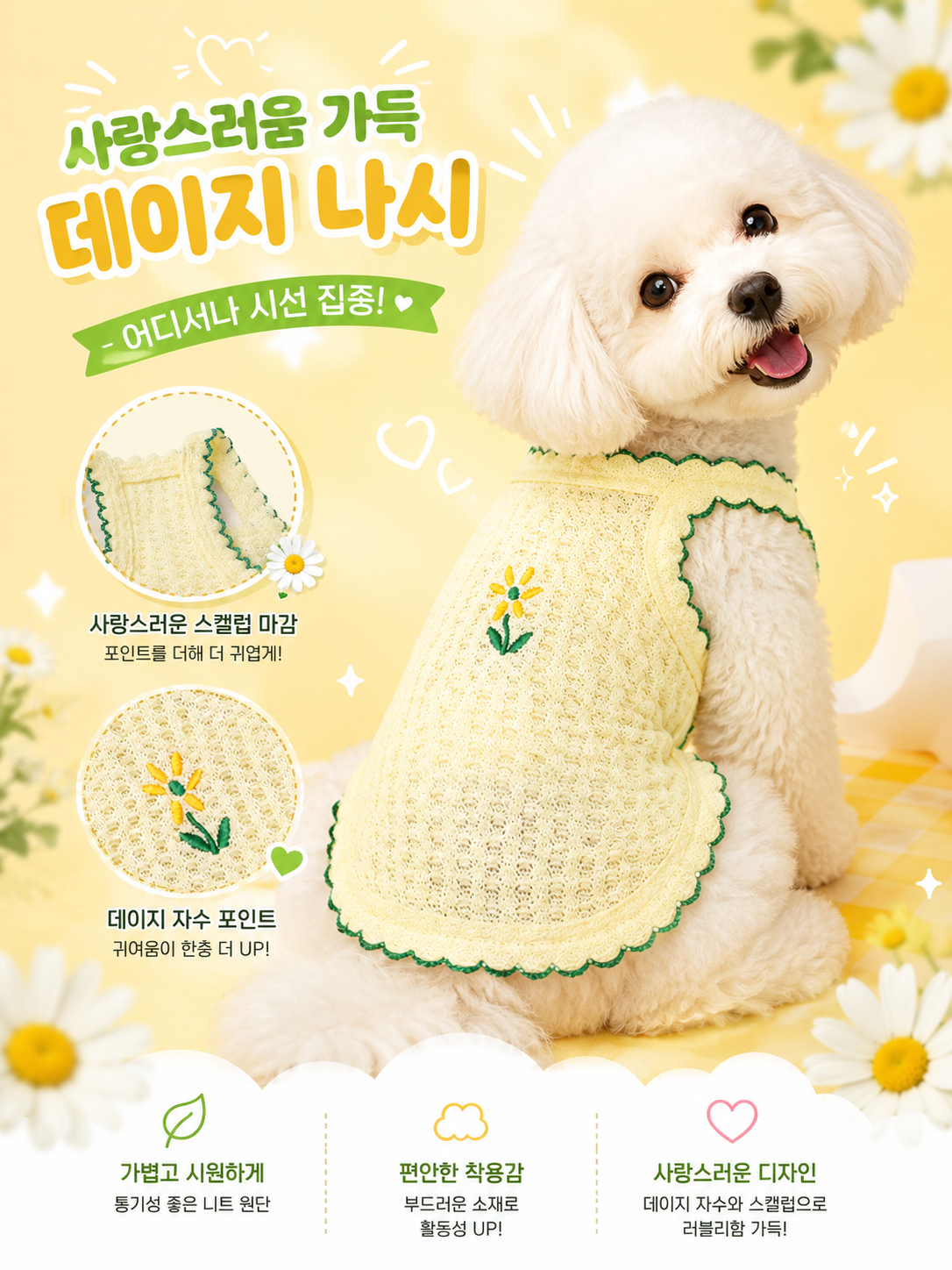 데이지 나시 소개글.png